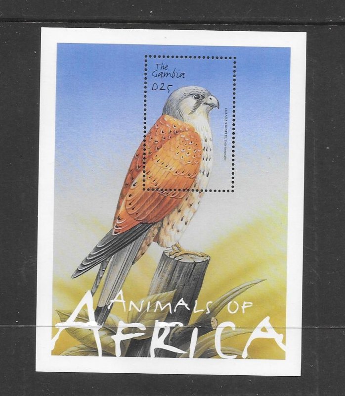 BIRDS -  GAMBIA #2495 KESTREL  MNH