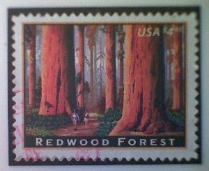 United States, Scott #4378, used(o), 2009, Redwood Forest, $4.95