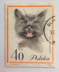 Poland 1964 Scott 1217 used - 40gr, domestic  Cat, Kot Europejski