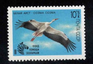 Russia Scott B179 MNH** 1991 Ciconia Bird stamp