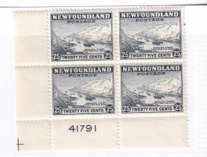 NEWFOUNDLAND PLATE BLOCKS OF 4 PLUS BLOCKS OF 4 CAT VALUE ????? 