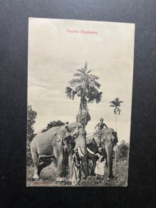 1913 Ceylon Sri Lanka RPPC Postcard Cover to Unknown Address Ceylon Elephants