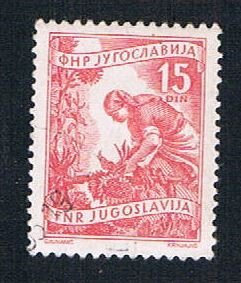 Yugoslavia 384 Used Gathering Sunflowers (BP16026)