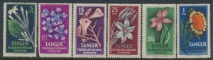 Spanish Tanger  Flowers  Charity Label  Telegraph see details scans 