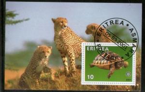 Eritrea 2001 Leopards Turtle Wild Life Reptiles Fauna M/s Cancelled # 3188