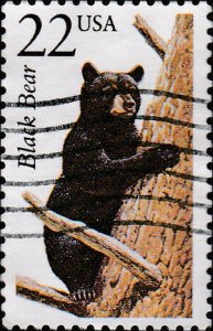 # 2299 USED BLACK BEAR