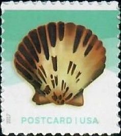 U.S.#5164 Shells-Pacific Calico Scallop 34c Single, MNH.