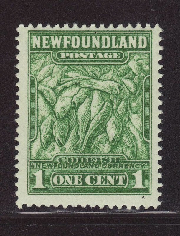 1932 Newfoundland 1c Codfish Perf 13½ Unmounted Mint SG209