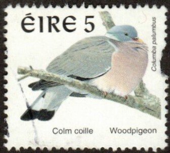 Ireland 1105 - Used - 5p Woodpigeon (1998)