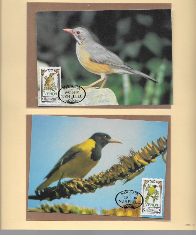VENDA  1985 SONGBIRDS CYL.BLOCKS U/M PLUS MAXIMUM CARDS