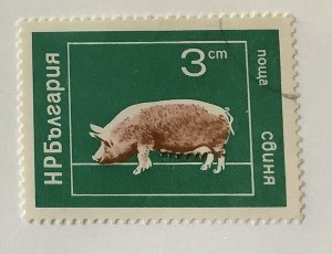 Bulgaria 1974  Scott 2160 CTO - 3s, Domestic animals