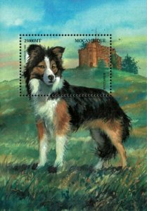 Mozambique 2000 - Dogs of the World Border Collie - Souvenir Sheet - 1351 - MNH