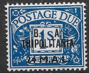 B.O.I.C.-TRIPOLITANIA SGTD10 1950 24L ON 1/= DEEP BLUE POSTAGE DUE MTD MINT