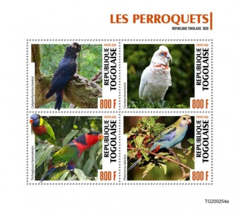 Togo - 2020 Parrots, Long-billed Corella, Lorikeet - 4 Stamp Sheet - TG200254a