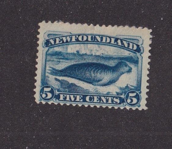 NEWFOUNDLAND # 54 FVF-MH OFFSET ON BACK 5cts HARP SEAL CAT VALUE $100 BUY @ 20%