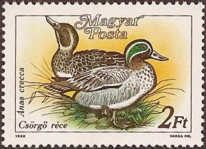 Hungary 3136 - Mint-NH - 2fo Anas crecca (Ducks) (1988) (cv $0.30)