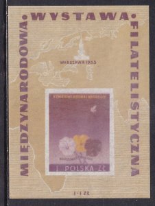 Poland 1955 Sc B104 Warsaw International Philatelic Exhibition Stamp SS MNH