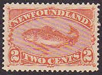 Newfoundland Scott 48b VF LH