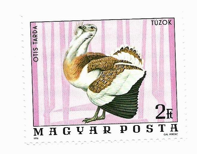 Hungary 1977 - MNH - Scott #2460 *