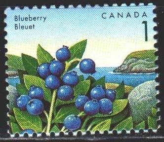 Canada. 1992. 1307 from the series. Blueberry. MNH.