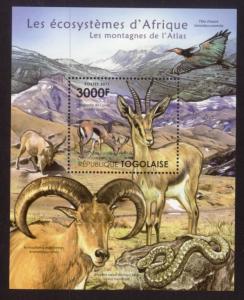 Togo - New Issue - MNH Atlas Mountains Animals (S/S)