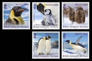 2024/01- BAT-BRITISH ANTARCTIC - EMPEROR PUNGUINS ADHESIVE 5V complet set MNH**A