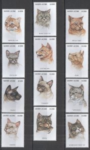 A1091 Sierra Leone Fauna Pets Cats Of The World Set Mnh Stamps