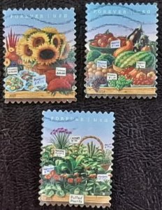 US Scott # 4913-4915; three  used (49c) Farmers market, 2014; VF; off pp