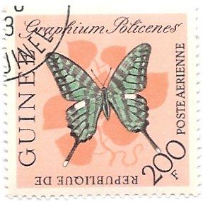 Guinea C48 (used) 200f butterfly, Graphium policenes