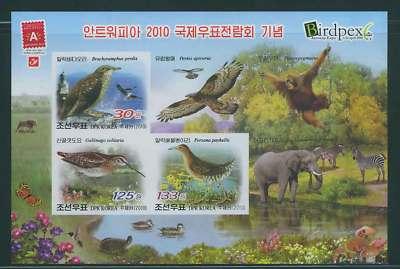 NORTH KOREA 2010 - NEW - ANTVERPIA BIRD SHEETLET IMPERF