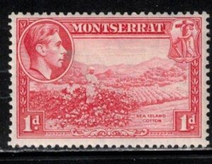 MONTSERRAT Scott # 93a MH - KGVI & Sea Island Cotton