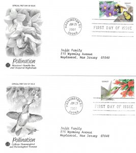 2007 FDC, #4153-4156, 41c Pollination, PCS (4)