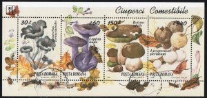 Thematic stamps romania 1994 fungi 4V sheet ex ms5638 used