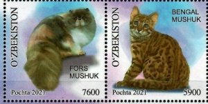 2021 Uzbekistan cats domestic animals 2v MNH 126