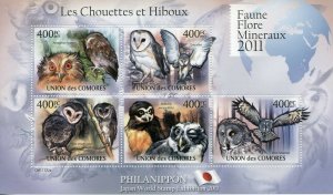 Comoros Birds of Prey on Stamps 2011 MNH Owls Barn Owl Philanippon 5v M/S