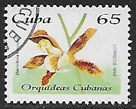 Cuba # 3685 - Orchid Macradenia Lutescens - unused CTO.....{Z18}