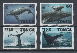 Tonga Sc 915-918 MNH. 1996 WWF Endangered Whales, cplt set of 4, VF