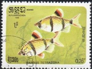 Cambodia 638 - Cto - 20c Tiger Barb (1985)