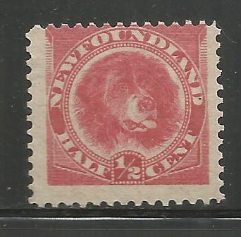 NEWFOUNDLAND 56, MNH, DOG RED