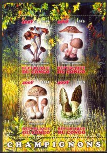 Congo 2013 Mushrooms (3) MNH Cinderella !