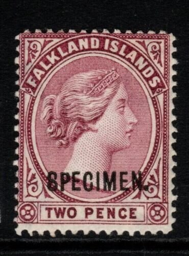 FALKLAND ISLANDS SG26s 1896 2d REDDISH PURPLE SPECIMEN MTD MINT 