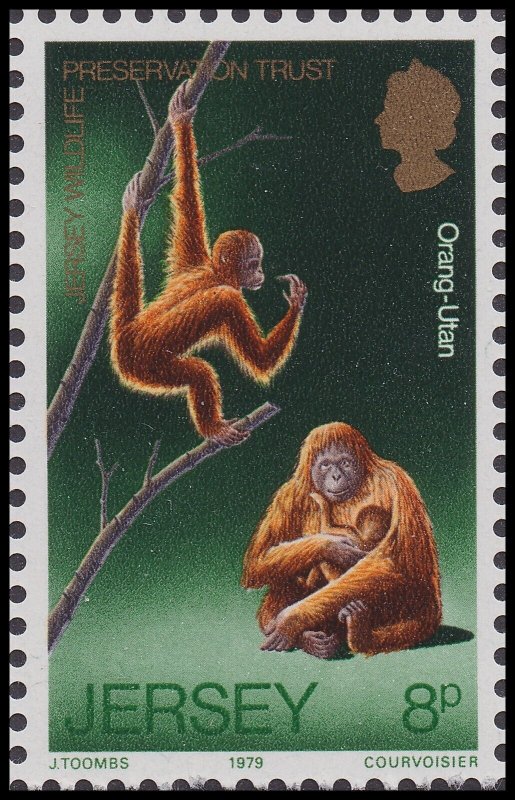 Jersey 218 Wild Life III Orang-Utan 8p single MNH 1979