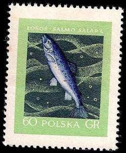 # 907 MINT NEVER HINGED FISCHER CATALOUGE