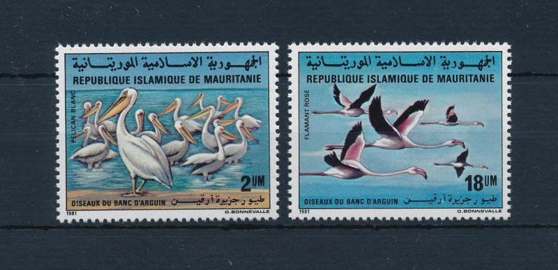 [52711] Mauritania 1981 Birds Vögel Oiseaux Ucelli  MNH