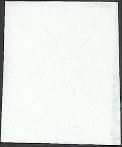 # 4939 Used Winter Fun Cardinal