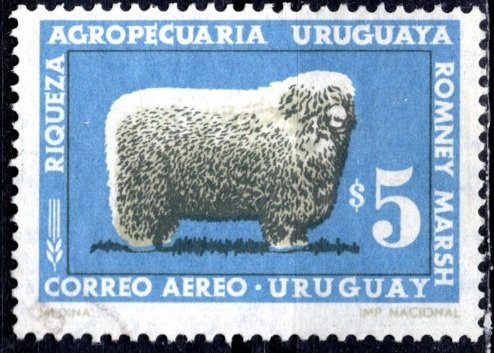 Uruguay; 1967; Sc. # C306;  Used Single Stamp