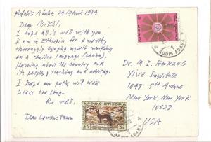 Ethiopia 1989 PPC 5c Dog + 70c to USA (bah) 