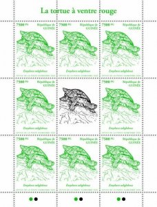 Guinea Turtles Stamps 2020 MNH Red-Bellied Short-Necked Turtle 8v M/S III