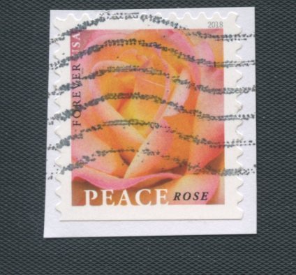 US Scott's # 5280 Peace Rose - used - On Paper