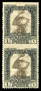 Italian Colonies, Libya #20var, 1921 1c black and gray green, vertical pair, ...